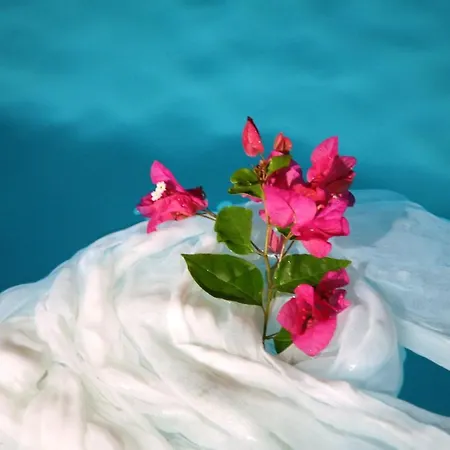 度假居 Sea Paradise - Seaside & Private Jacuzzi 伊亚