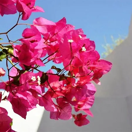 Sea Paradise - Seaside & Private Jacuzzi Апартаменты *