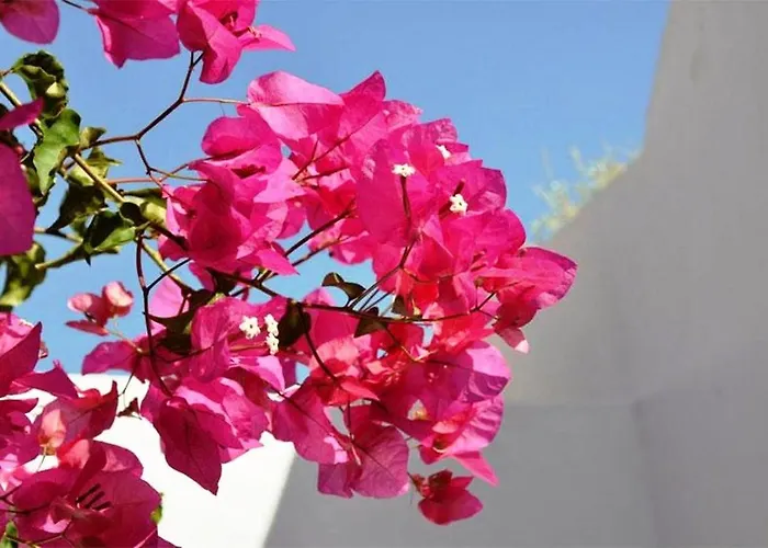 Sea Paradise - Seaside & Private Jacuzzi Lägenhet *